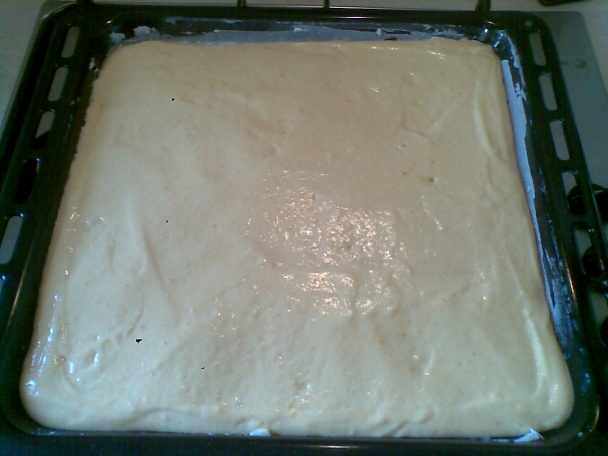 Marhuľovo-tvarohový koláč (fotorecept ) - obrázok 4