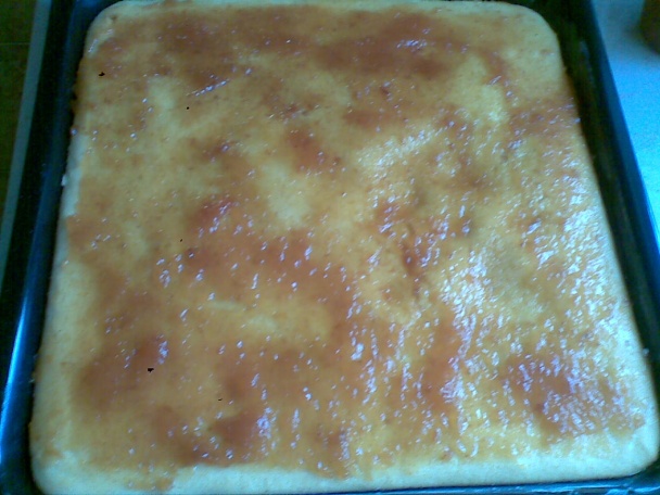 Marhuľovo-tvarohový koláč (fotorecept ) - obrázok 6