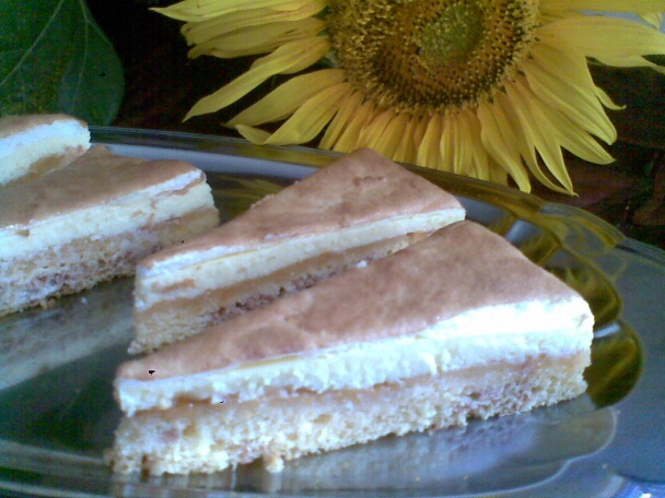 Marhuľovo-tvarohový koláč (fotorecept ) - obrázok 9