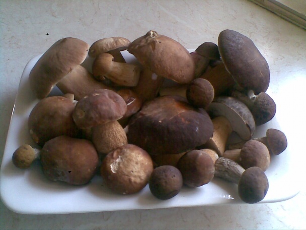 Kuracie prsičká pod hríbovou perinou (fotorecept) - obrázok 4