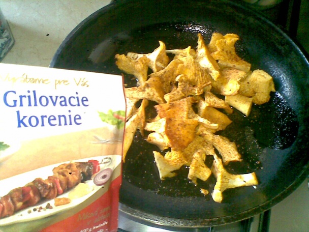 Kuriatkovo-kurací špíz s hlivovou omáčkou (fotorecept) - obrázok 2