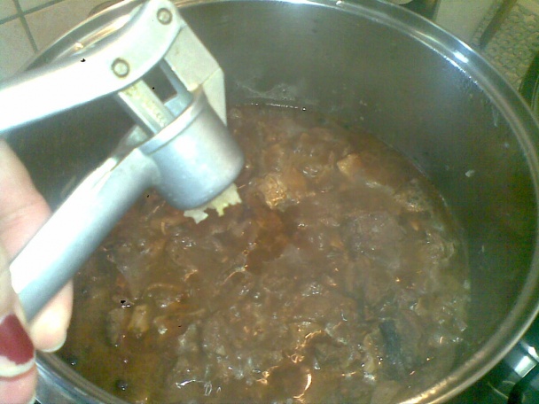 Divoká panenka (fotorecept) - obrázok 5