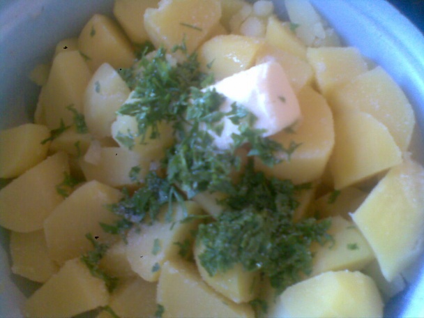 Divoká panenka (fotorecept) - obrázok 8