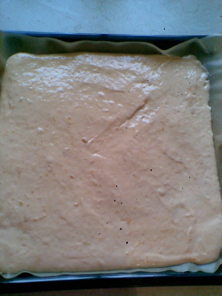 Marhuľový koláč (fotorecept) - obrázok 5