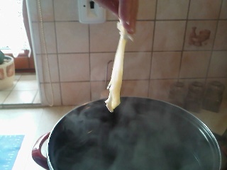 Párance (fotorecept ) - obrázok 4