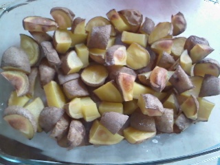 Párance (fotorecept ) - obrázok 7