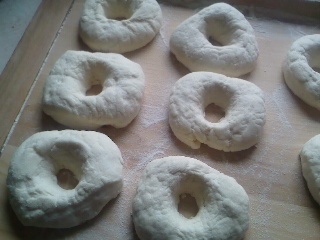 BAGLE ( fotorecept ) - obrázok 10