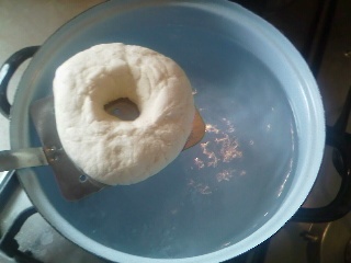 BAGLE ( fotorecept ) - obrázok 11