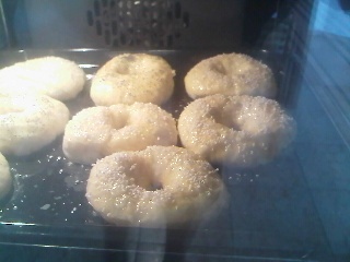 BAGLE ( fotorecept ) - obrázok 15