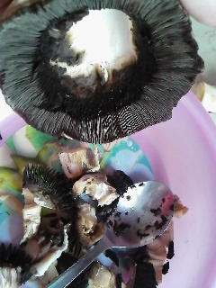 Vyprážané plnené šampiňóny (fotorecept) - obrázok 2