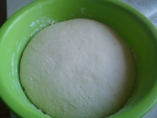 Korbáčový závin (fotorecept) - obrázok 2