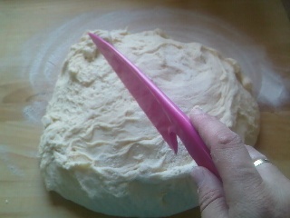 Korbáčový závin (fotorecept) - obrázok 3