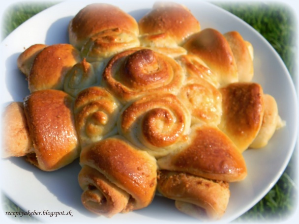 Škvarkovníky a bryndzovníky (fotorecept) - obrázok 3