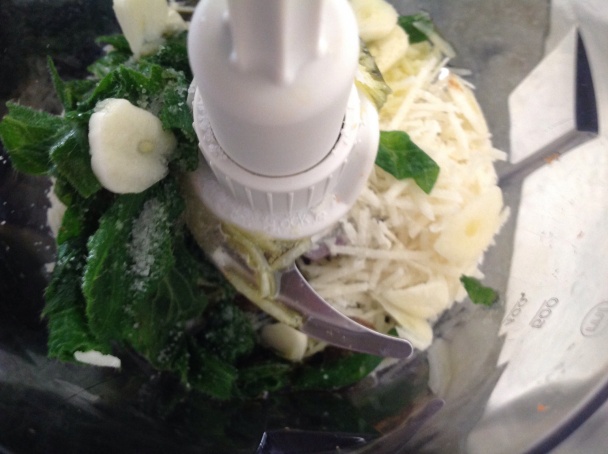 Pesto z boreka lekárskeho (fotorecept) - obrázok 3