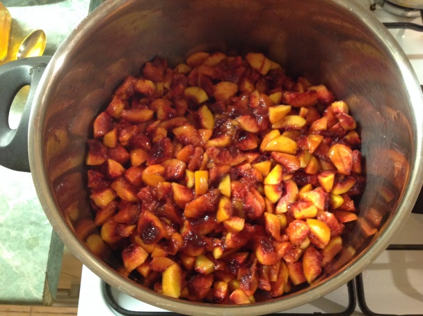 Broskyňové čatní (chutney) (fotorecept) - obrázok 3