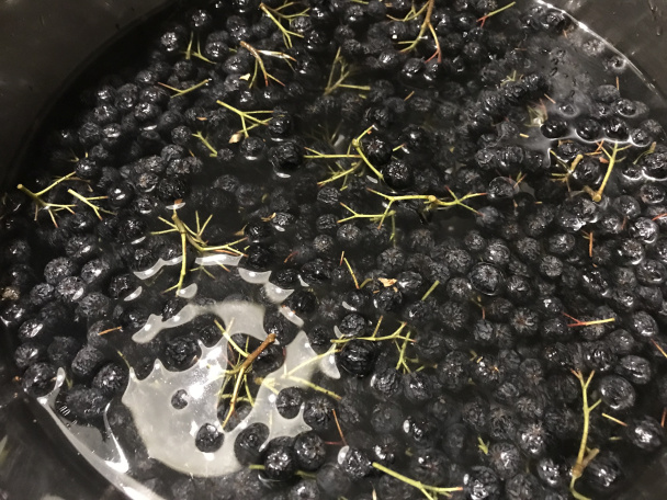 Mrazené pyré z arónie vhodné do smoothies (fotorecept) - obrázok 1