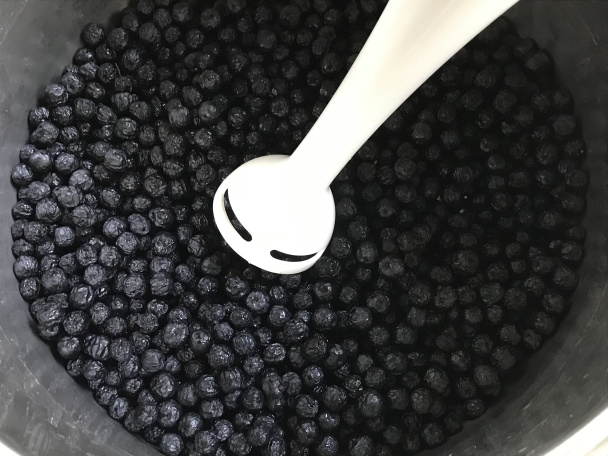 Mrazené pyré z arónie vhodné do smoothies (fotorecept) - obrázok 2