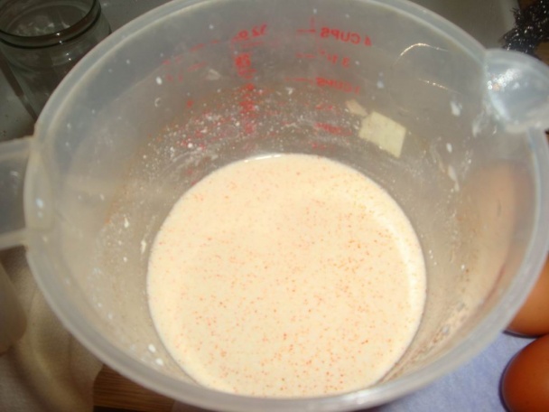 Opité vajcia (fotorecept) - obrázok 2