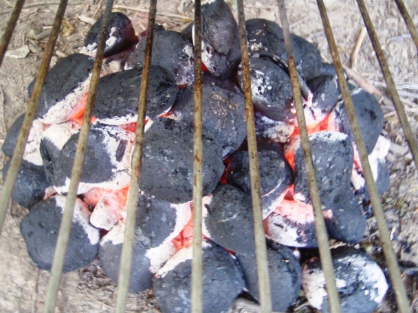 Grilovaná kuracinka (fotorecept) - obrázok 1