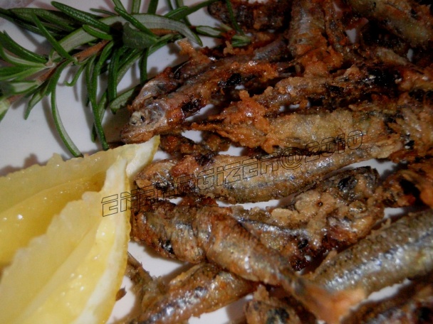 Girice (fotorecept) - obrázok 4