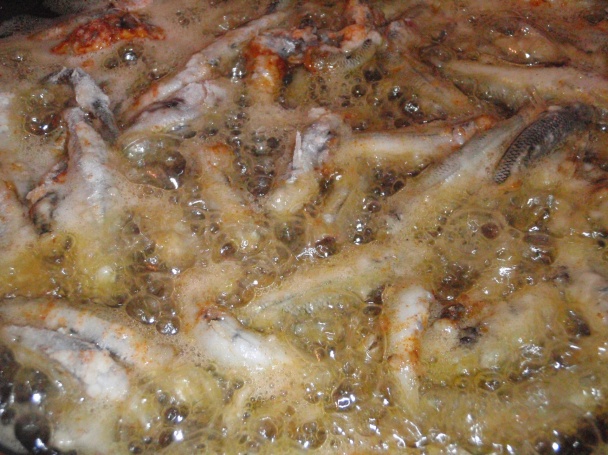 Girice (fotorecept) - obrázok 3