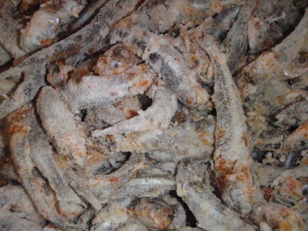 Girice (fotorecept) - obrázok 2