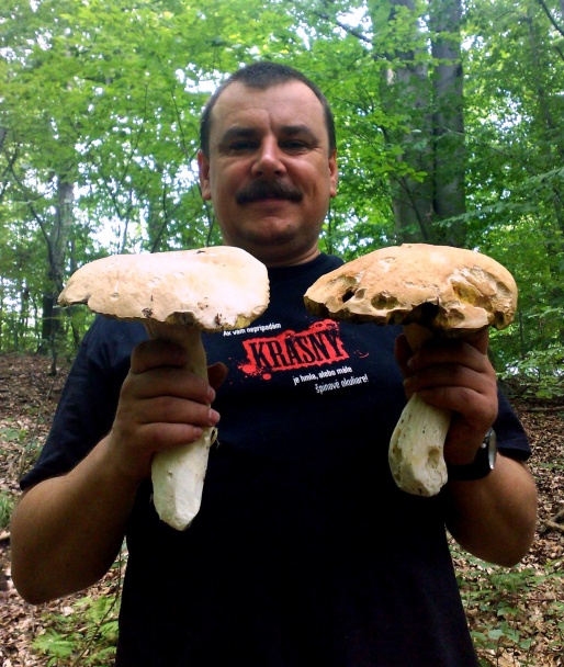 Hubová praženica (fotorecept) - obrázok 6