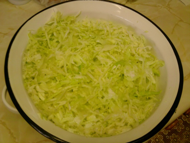 Zemiakové placky plnené kuracím mäskom s kapustovým šalátom (fotorecept) - obrázok 5
