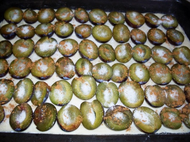 Slivkový koláč s mrveničkou (fotorecept) - obrázok 8