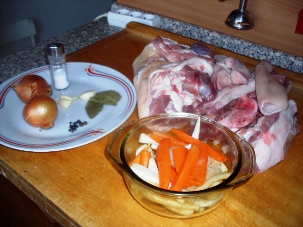 Studenina (fotorecept) - obrázok 1