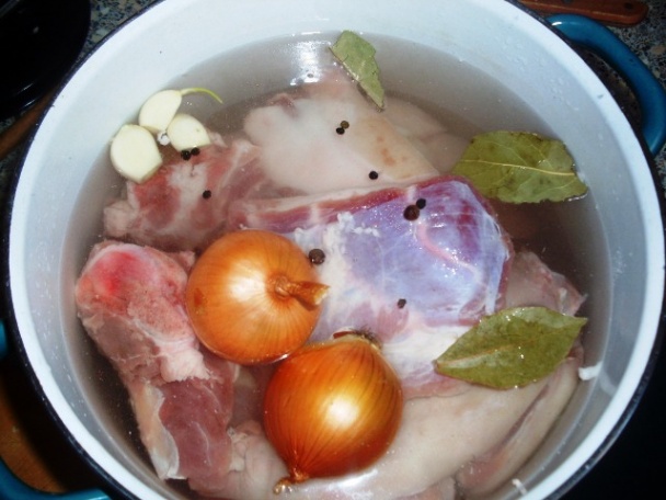 Studenina (fotorecept) - obrázok 2