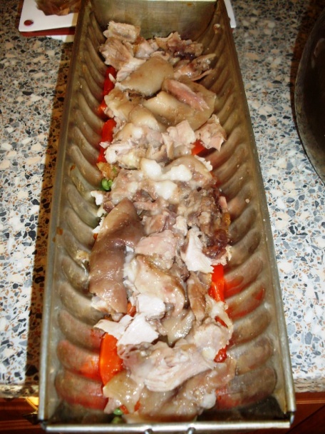 Studenina (fotorecept) - obrázok 7