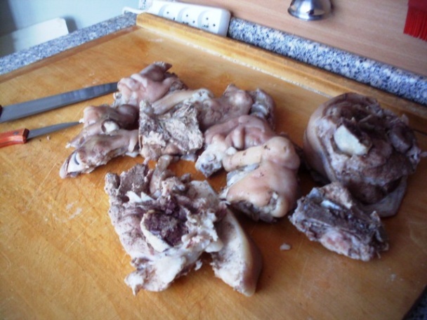 Studenina (fotorecept) - obrázok 4