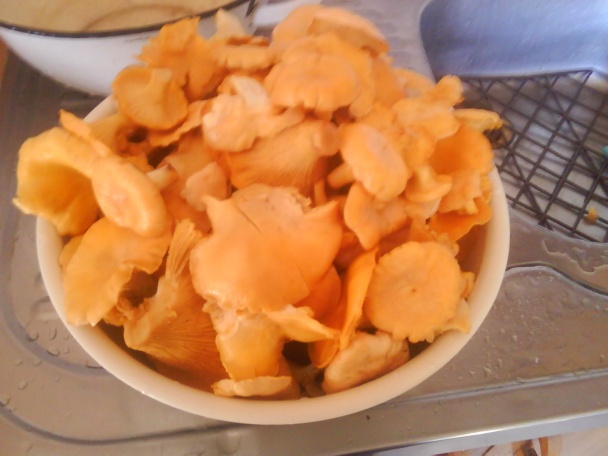 Kuriatková žemľovka (fotorecept) - obrázok 2