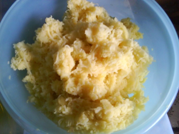 Bryndzový trhanec (fotorecept) - obrázok 1