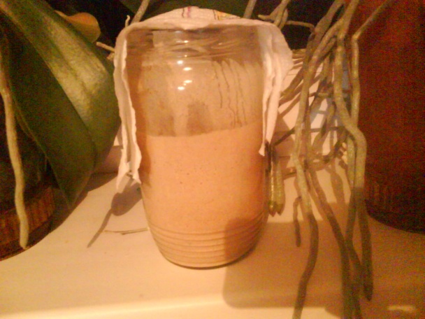 Kvások - narodil som sa na Hromnice - obrázok 1