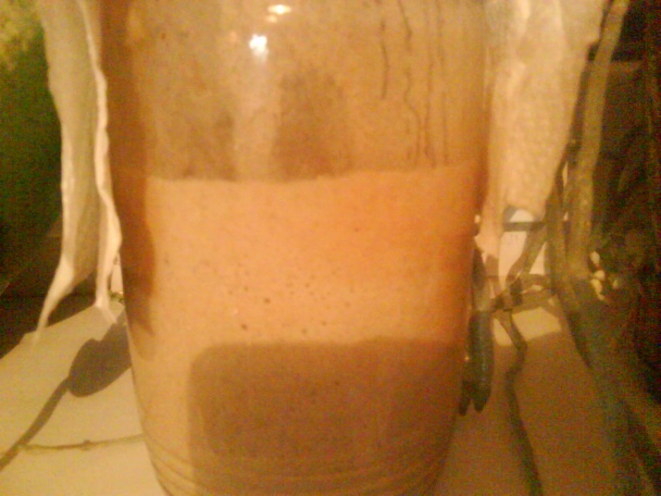 Kvások - narodil som sa na Hromnice - obrázok 2