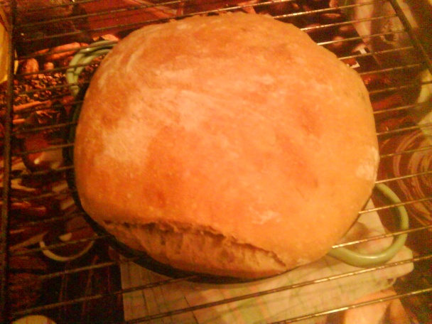 Kvások - narodil som sa na Hromnice - obrázok 3