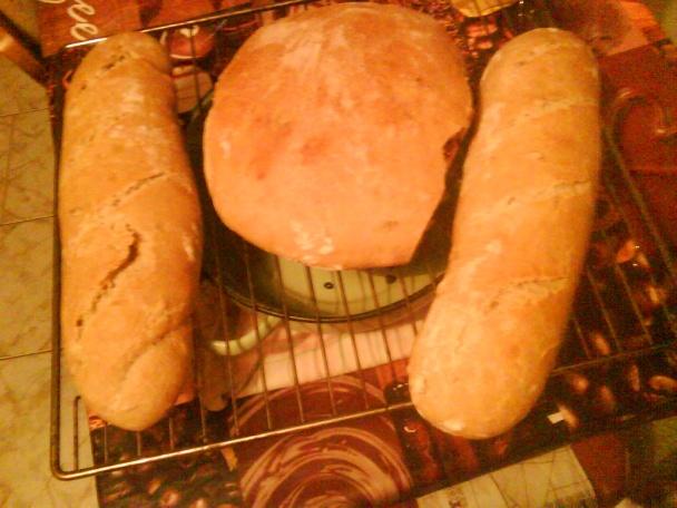 Kvások - narodil som sa na Hromnice - obrázok 4