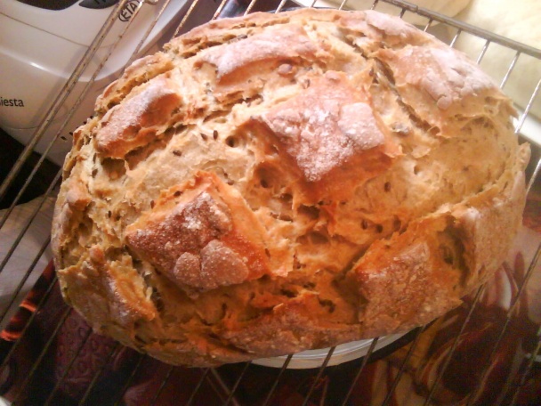 Kvások - narodil som sa na Hromnice - obrázok 8