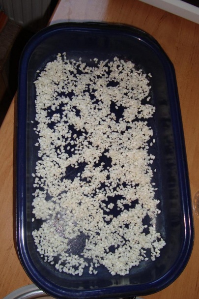 Koložvárska kapusta  - obrázok 4