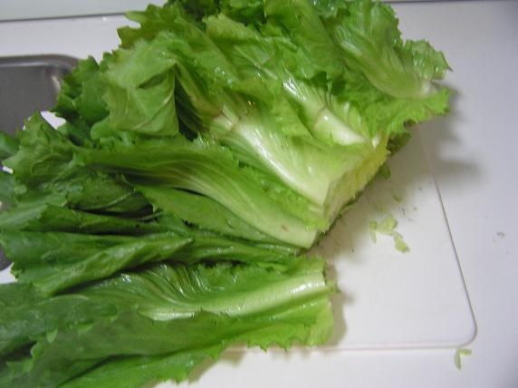 Pyré s endíviou (fotorecept) - obrázok 4