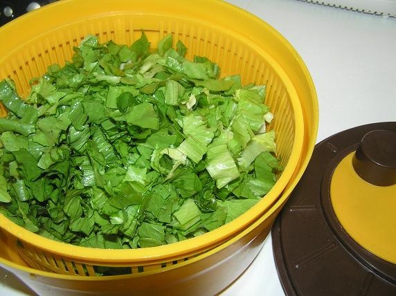 Pyré s endíviou (fotorecept) - obrázok 5