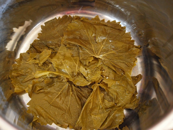 Yaprak sarma (fotorecept) - obrázok 6