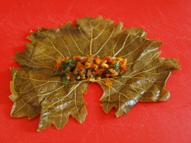 Yaprak sarma (fotorecept) - obrázok 7