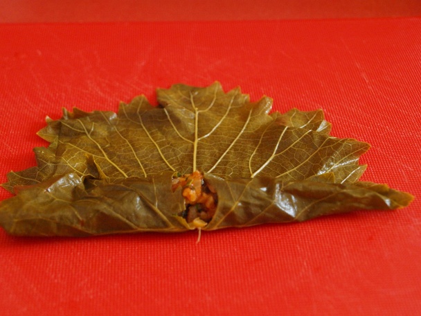 Yaprak sarma (fotorecept) - obrázok 8