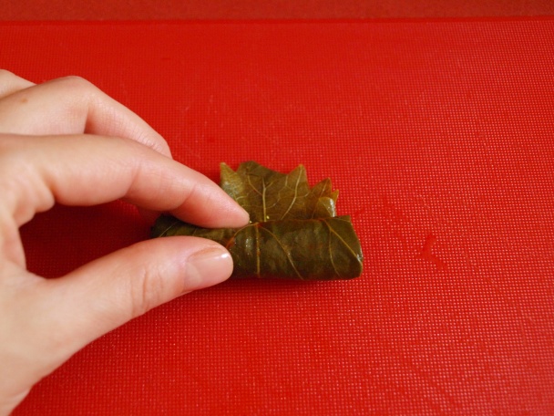 Yaprak sarma (fotorecept) - obrázok 10