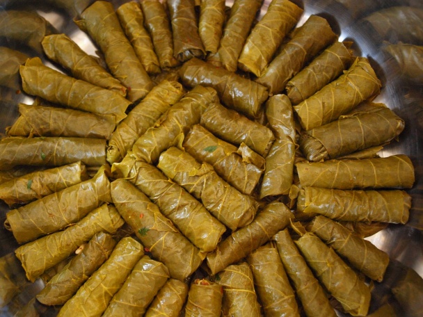 Yaprak sarma (fotorecept) - obrázok 11