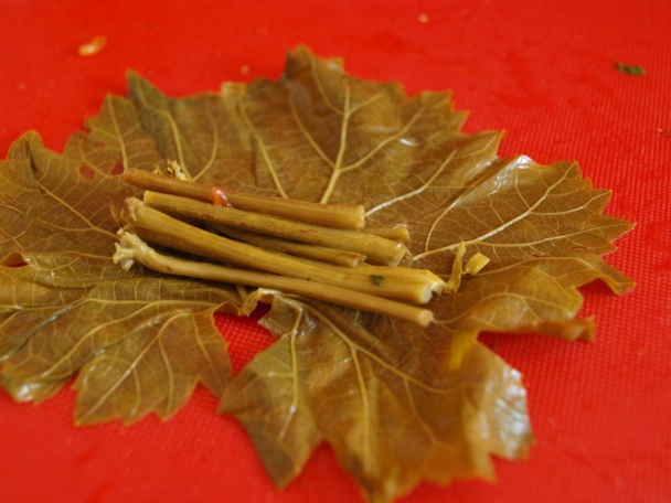 Yaprak sarma (fotorecept) - obrázok 12