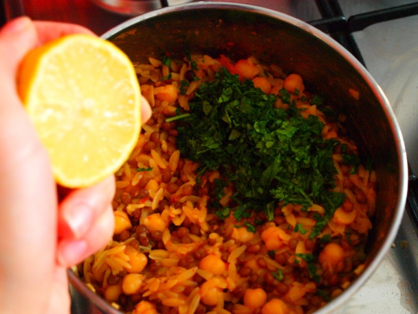 Muceddere (fotorecept) - obrázok 6